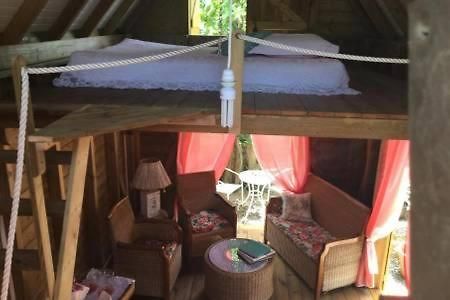 Aux Iles D'Amour Terre-De-Haut Room photo